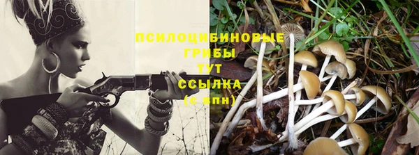 шишки Новокубанск