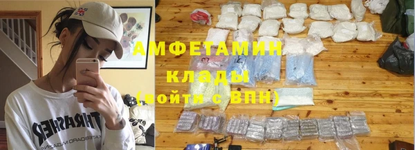 крисы Аркадак